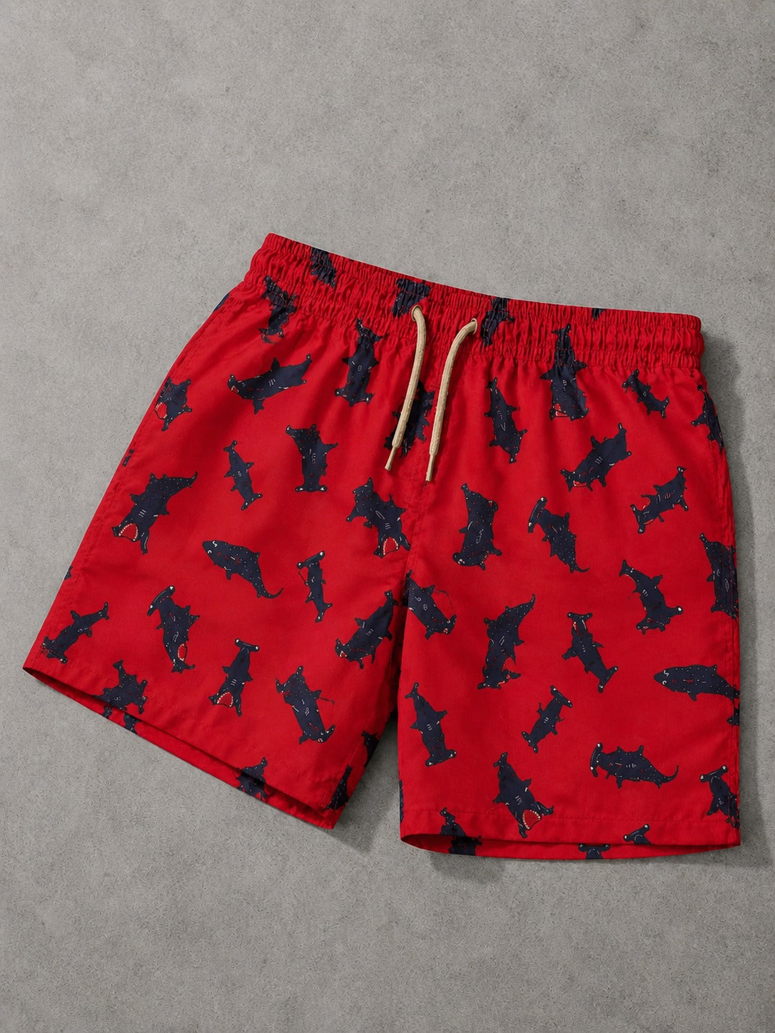Swim Shorts 002